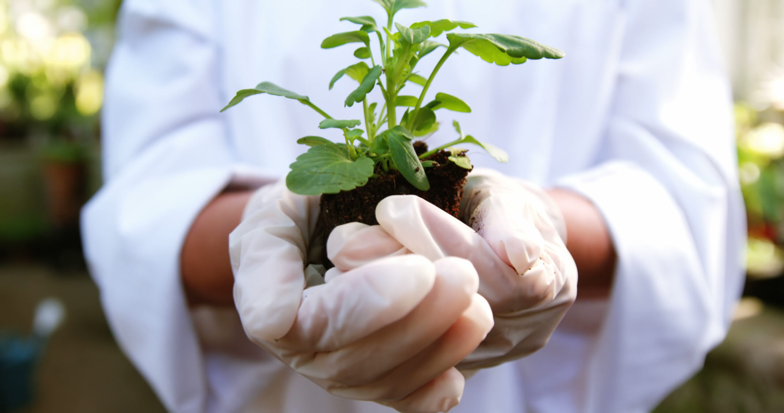 Who We Are - Kantanka Herbal Pharmaceuticals and Research Centre